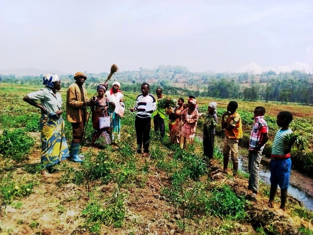 RENCONTRE DE VISITE DES AGRICULTEURS DE KASHUSHA KABARE DANS LE CADRE DU PROGRAMME DE L'AGRICULTURE FAMILIALE et SUIVI DE CLUB DIMITRA. - Image 3