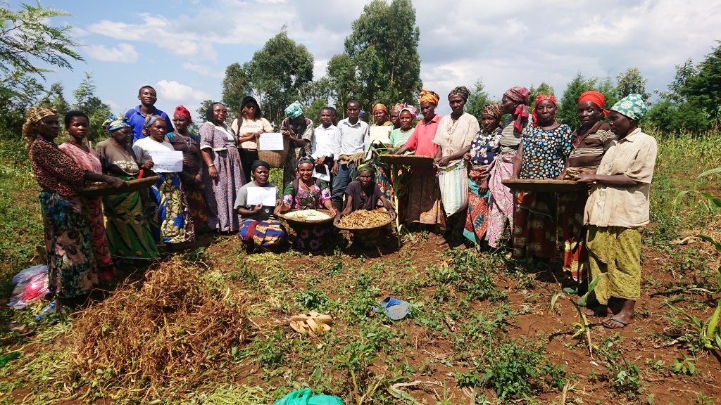 RENCONTRE DE VISITE DES AGRICULTEURS DE KASHUSHA KABARE DANS LE CADRE DU PROGRAMME DE L'AGRICULTURE FAMILIALE et SUIVI DE CLUB DIMITRA. - Image 4